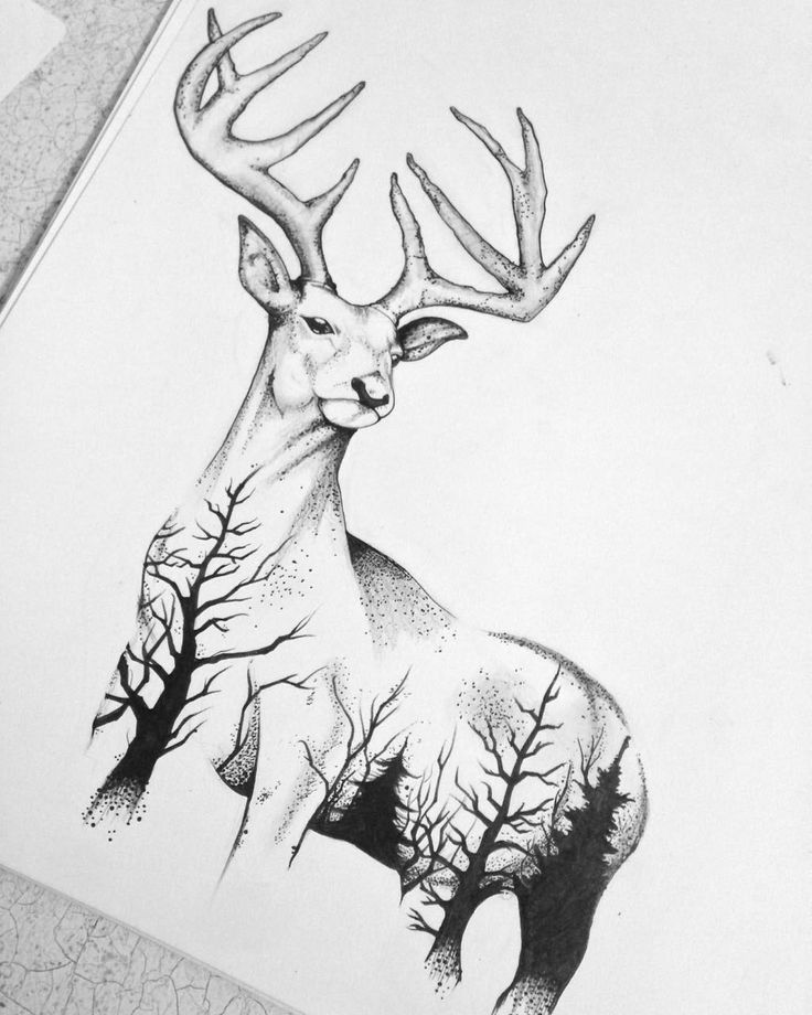 a drawing of a deer with antlers on it