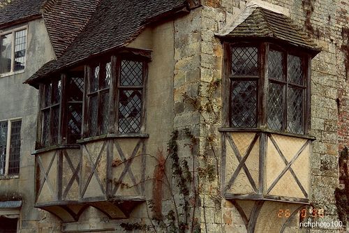 an old building with windows and vines growing on it