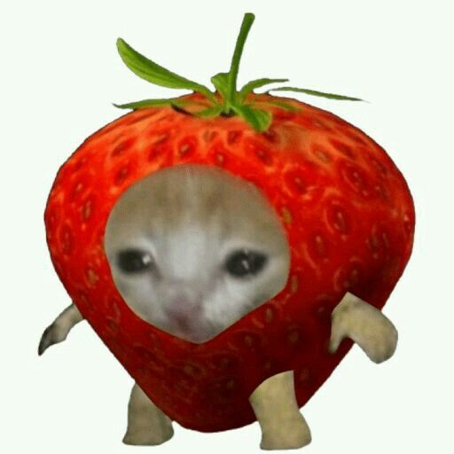 an animal with a strawberry on its head