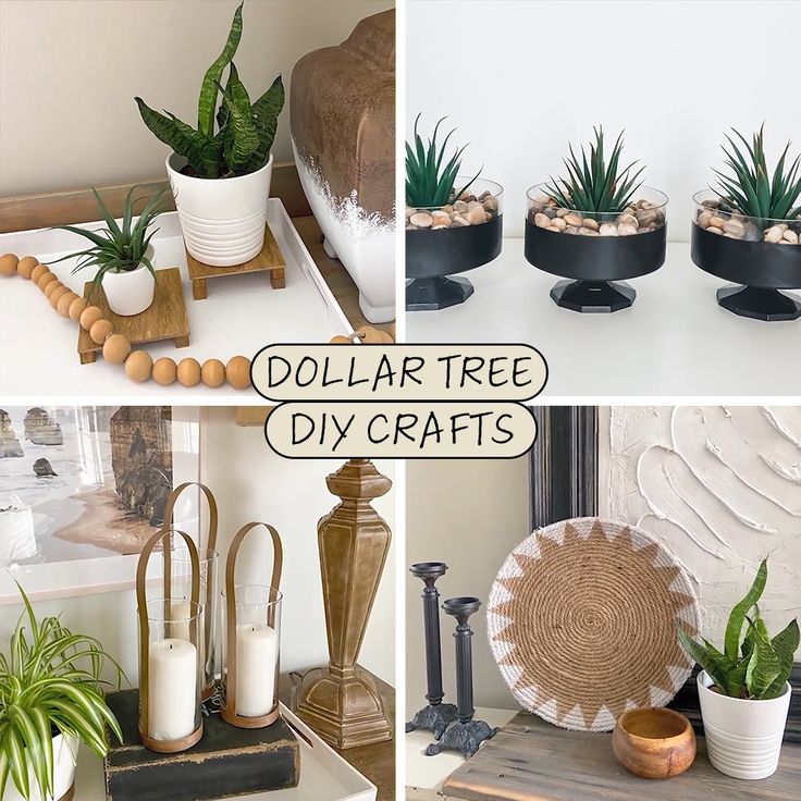 dollar tree diy crafts with succulents and other things to make it look like