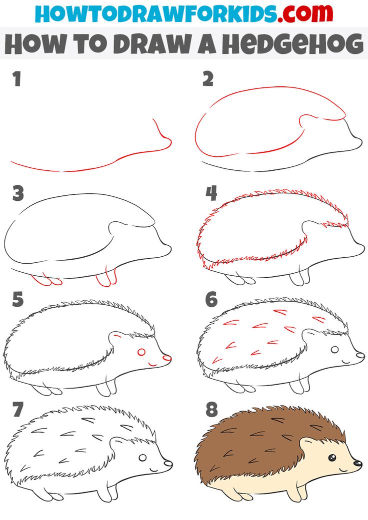 how to draw hedgehogs step by step for kids and beginners with easy instructions