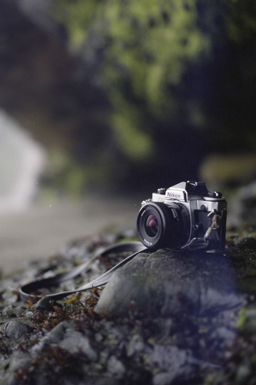 a camera sitting on top of a rock next to a forest filled with green trees