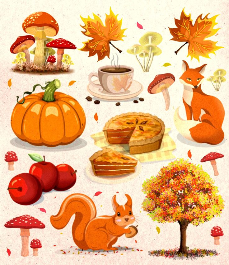 an illustration of various autumn food items