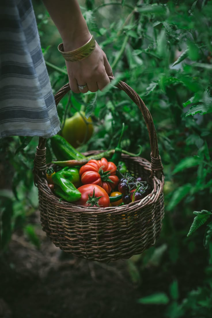 a person holding a wicker basket full of fresh produce in the garden with tomatoes and peppers