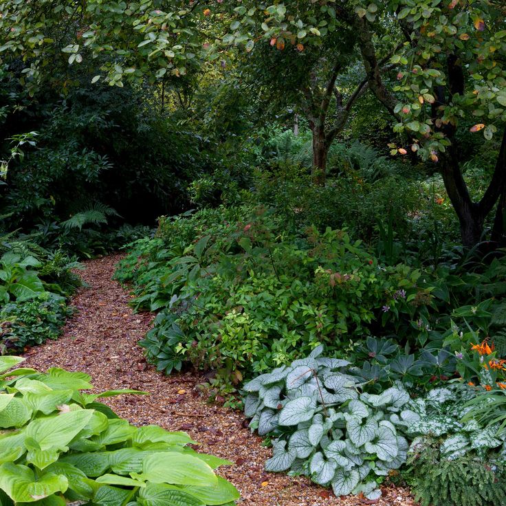 a garden filled with lots of green plants and trees