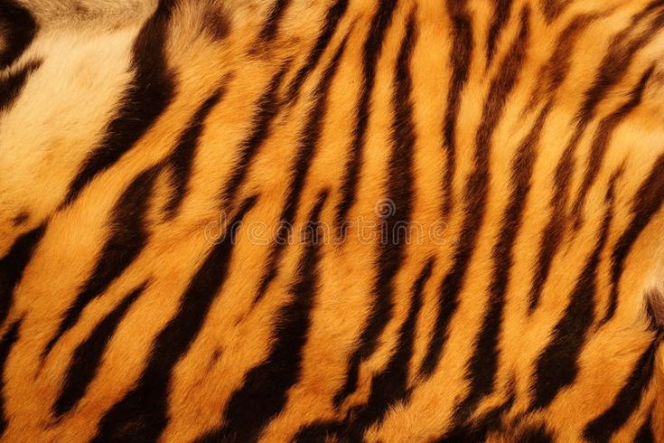 an animal's fur with black and brown stripes on it, close up view