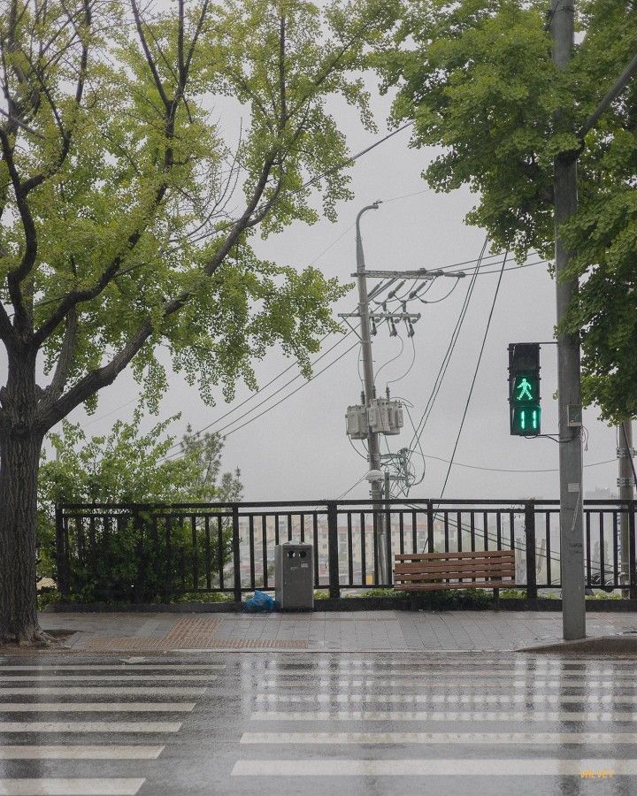 a green light on a rainy day in the rain with trees and benches along side it