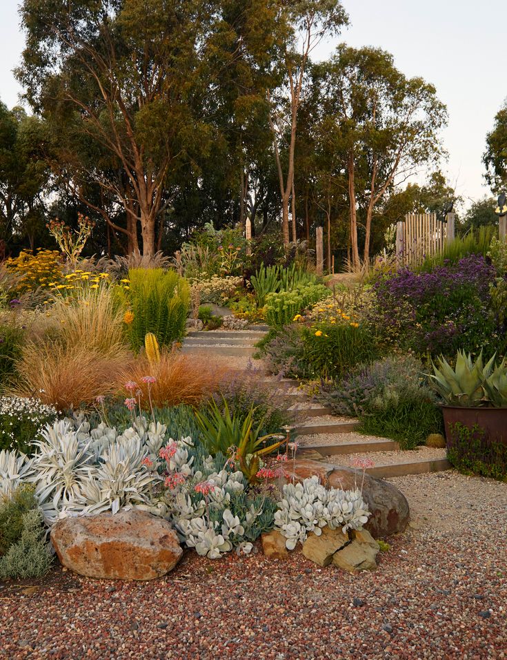 a garden filled with lots of different types of flowers and plants on top of gravel