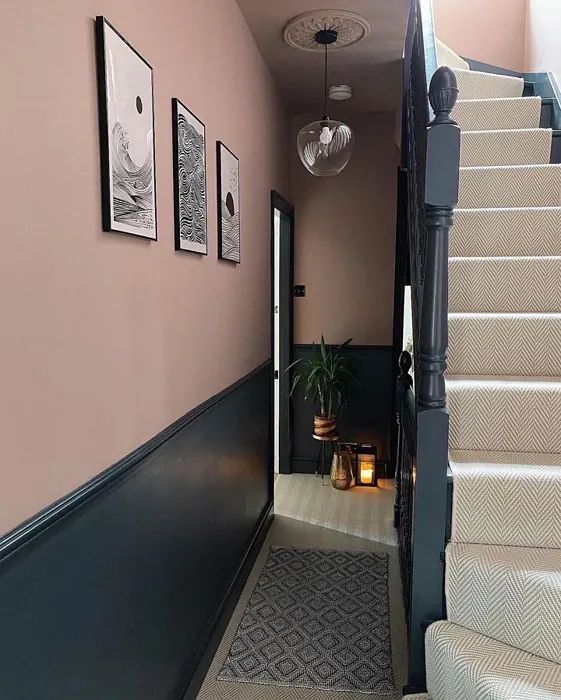 a hallway with stairs and pictures hanging on the wall above it, along with a potted plant