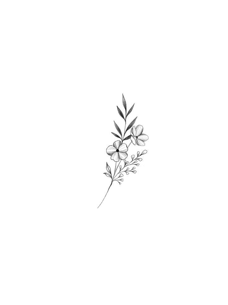 a black and white drawing of flowers on a white background