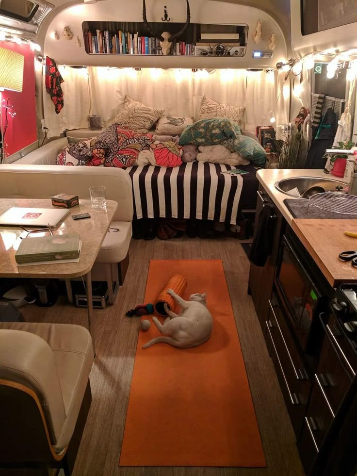 a dog laying on an orange rug in the middle of a room with a bed and desk