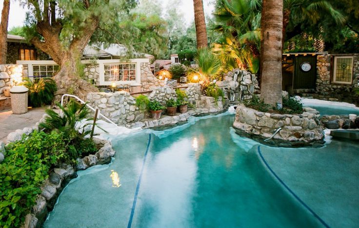 an outdoor swimming pool surrounded by palm trees and other greenery in front of a house