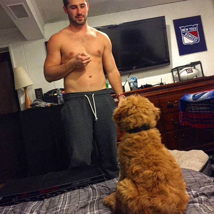 a man standing next to a brown dog on top of a bed in a bedroom