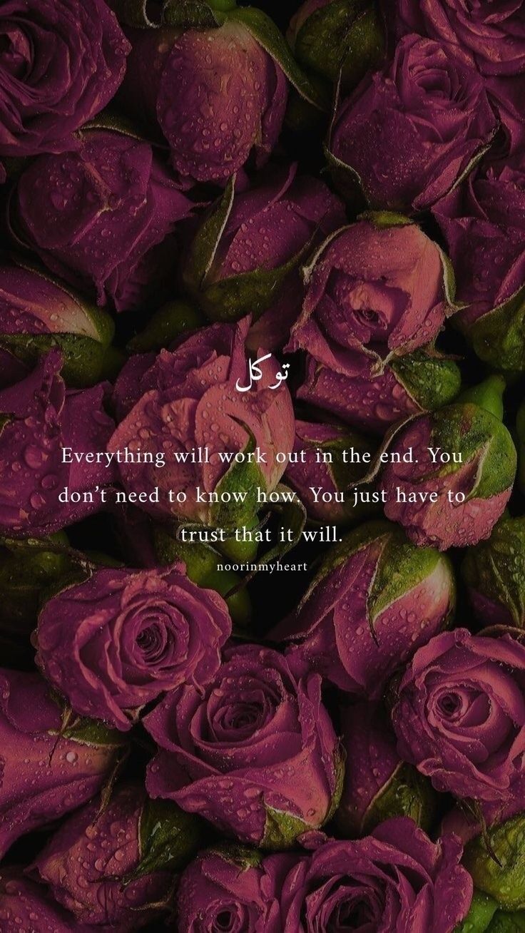 purple roses with a quote on it that reads, everything will be done in the end you don't need to know how