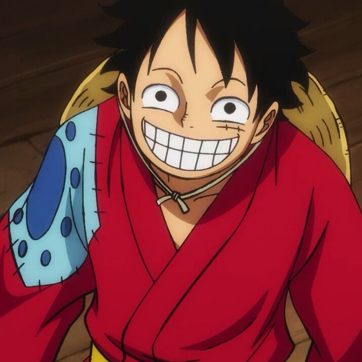 Funny face luffy | Gambar animasi kartun, Gambar karakter, Animasi