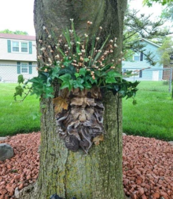 a tree with a face made out of leaves on it's trunk in front of a house