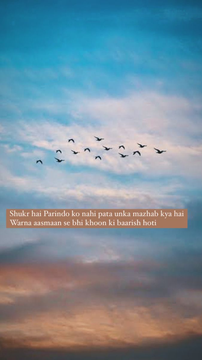 birds flying in the sky with a quote on it