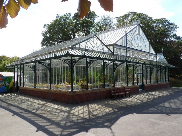 a green house sitting in the middle of a parking lot