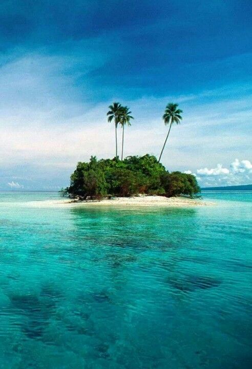 an island with two palm trees in the middle of it and clear blue water below