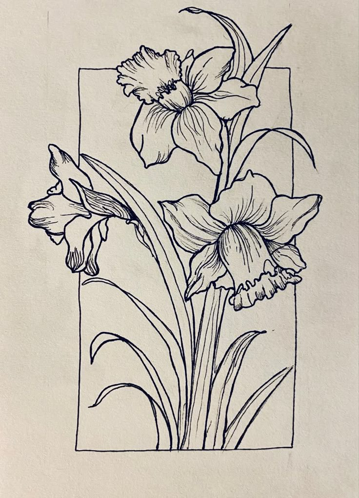 a drawing of some flowers in a square