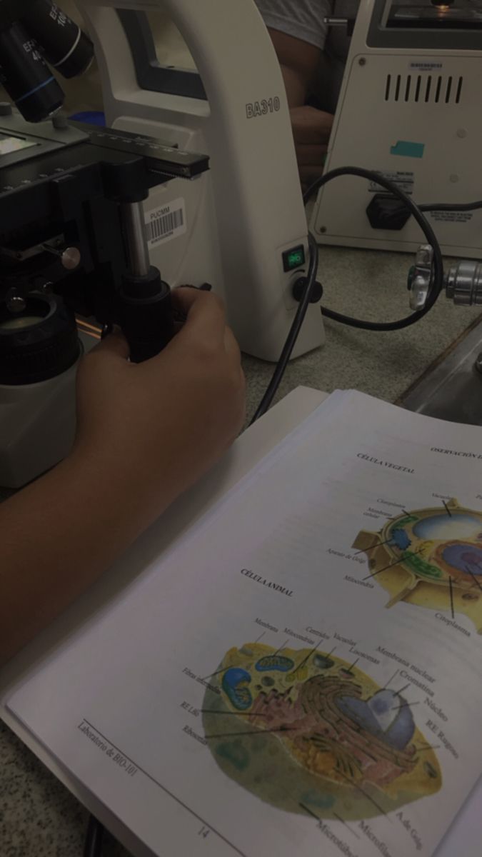 a person looking through a microscope at a book