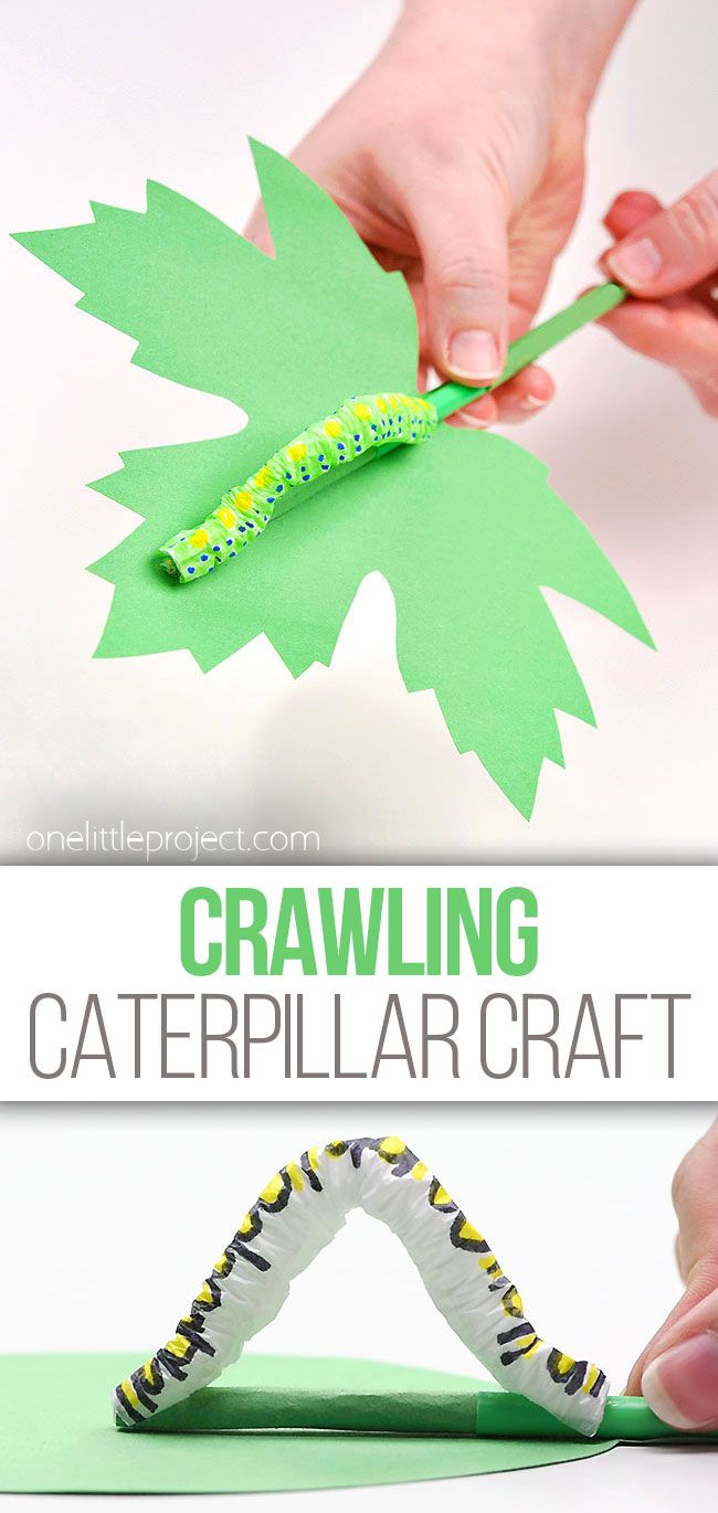 Photo of caterpillar on a leaf craft Worm Crafts, Caterpillar Art, Caterpillar Craft, Straw Crafts, Insect Crafts, Construction Paper Crafts, Bug Crafts, Summer Crafts For Kids, Leaf Template