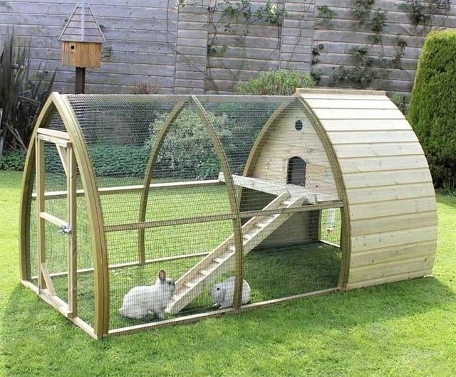 an outdoor chicken coop with two chickens in it and a ramp leading to the top