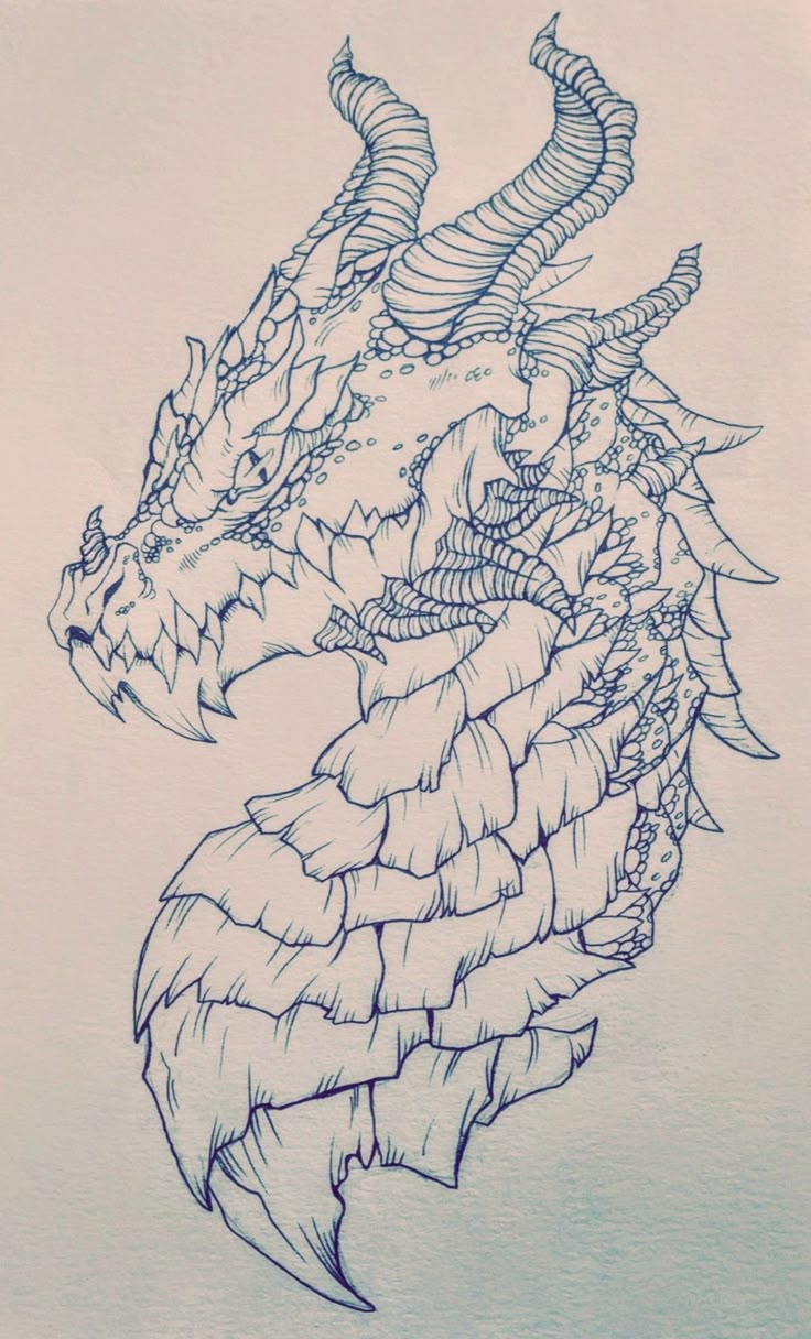 a drawing of a dragon head with long horns on it's back and neck