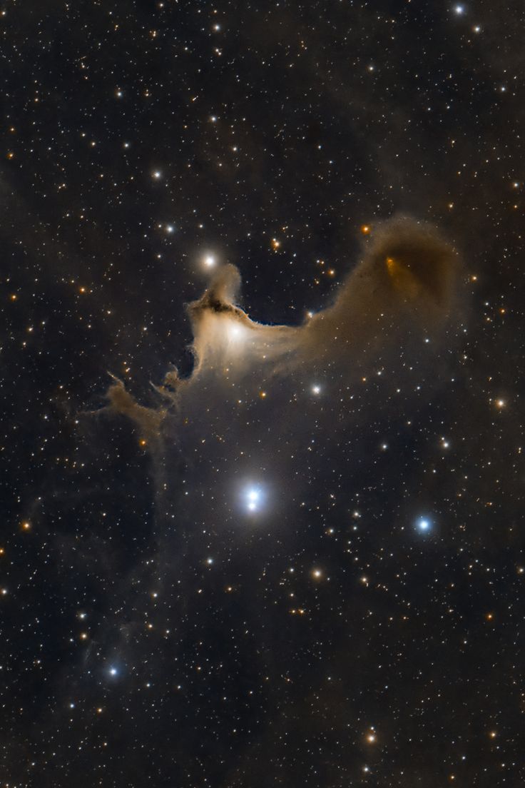 The Ghost Nebula in Cepheus Stars Close Up, Constellations Photography, Constilations Aesthetic, Books About Stars, Constellations Aesthetic, Ghost Nebula, Constellation Aesthetic, Iris Nebula, Star Nebula