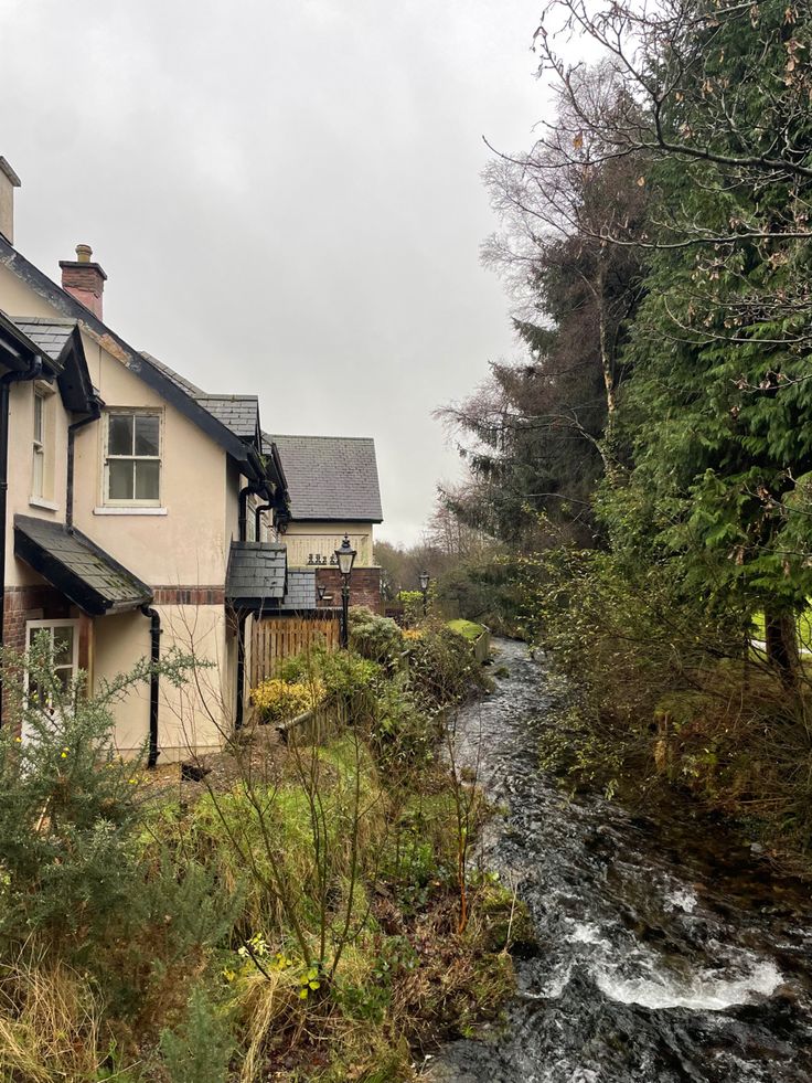 a river running through a lush green forest next to a white and black house with windows