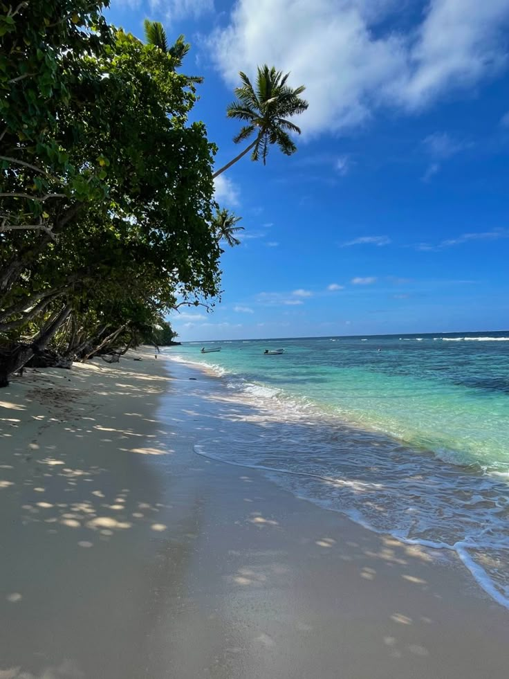 the beach is lined with palm trees and clear water