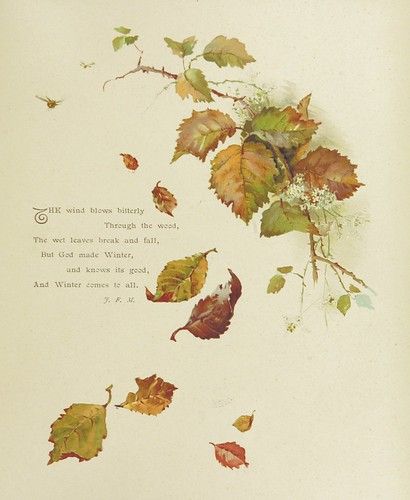 an old book with leaves falling from it