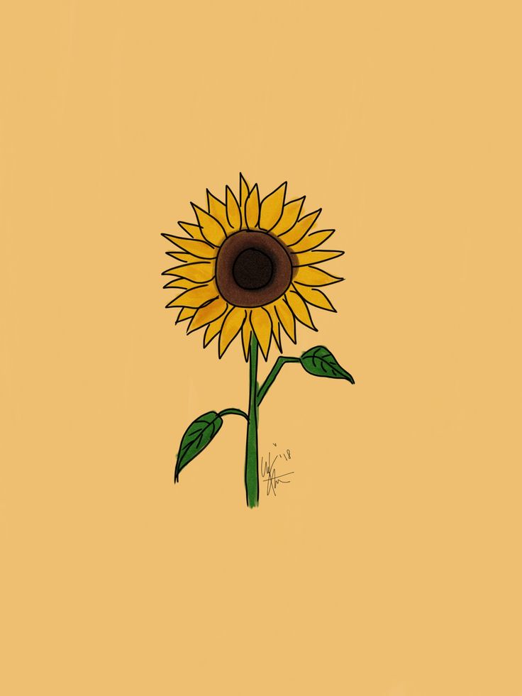 a drawing of a sunflower on a yellow background