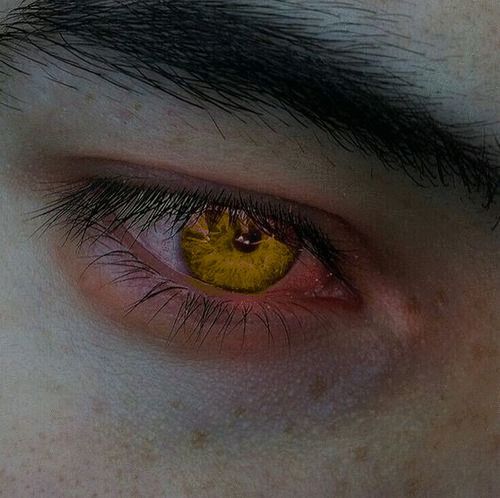 a close up of a person's eye with yellow iris