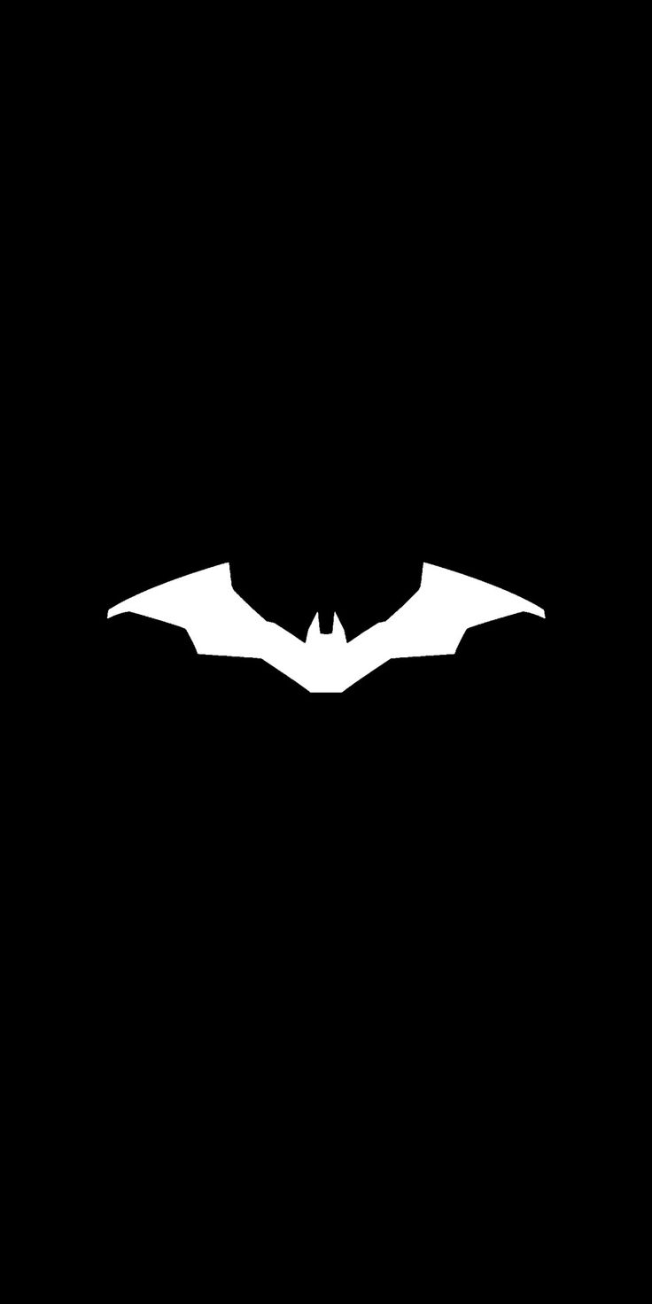 a black and white photo of the batman logo on a dark background with only one bat visible