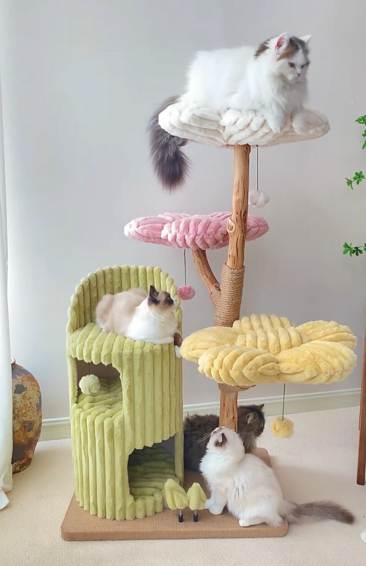 three cats are playing in a cat tree