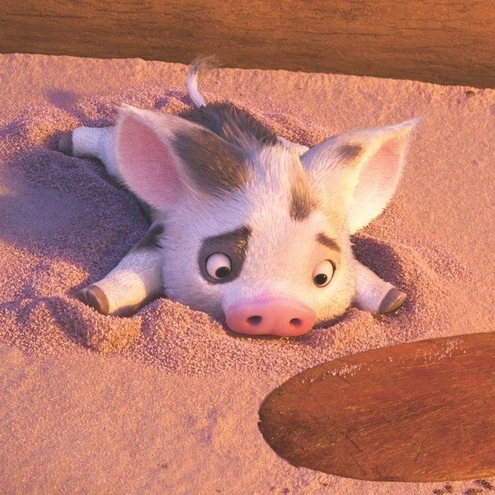 a small pig laying on top of a sandy beach