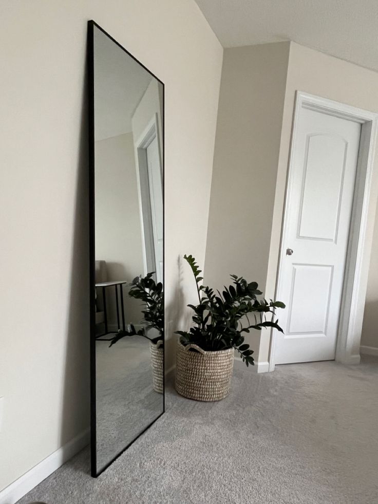 a large mirror sitting on the side of a wall next to a potted plant