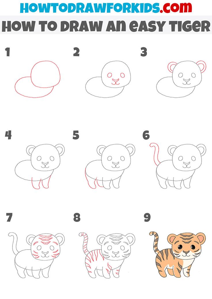 how to draw an easy tiger step by step instructions for kids and beginners with pictures