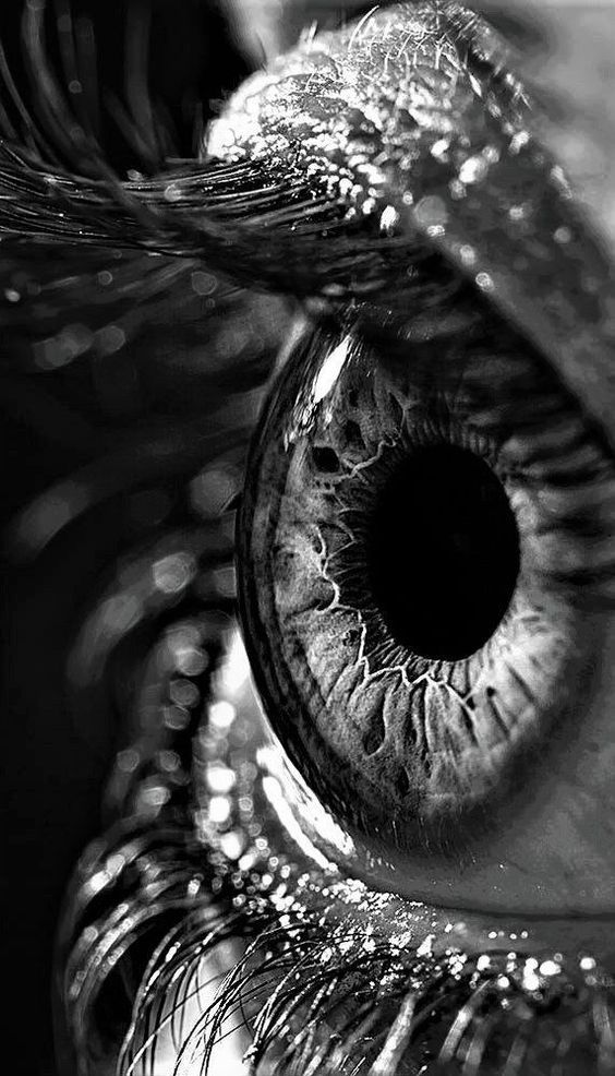 black and white photograph of an eye