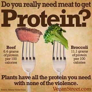 Vegan Facts, Meat Diet, Why Vegan, Vegan Quotes, Motivation Positive, Vegan Inspiration, Zumba Fitness, Vegan Protein, Vegan Foods