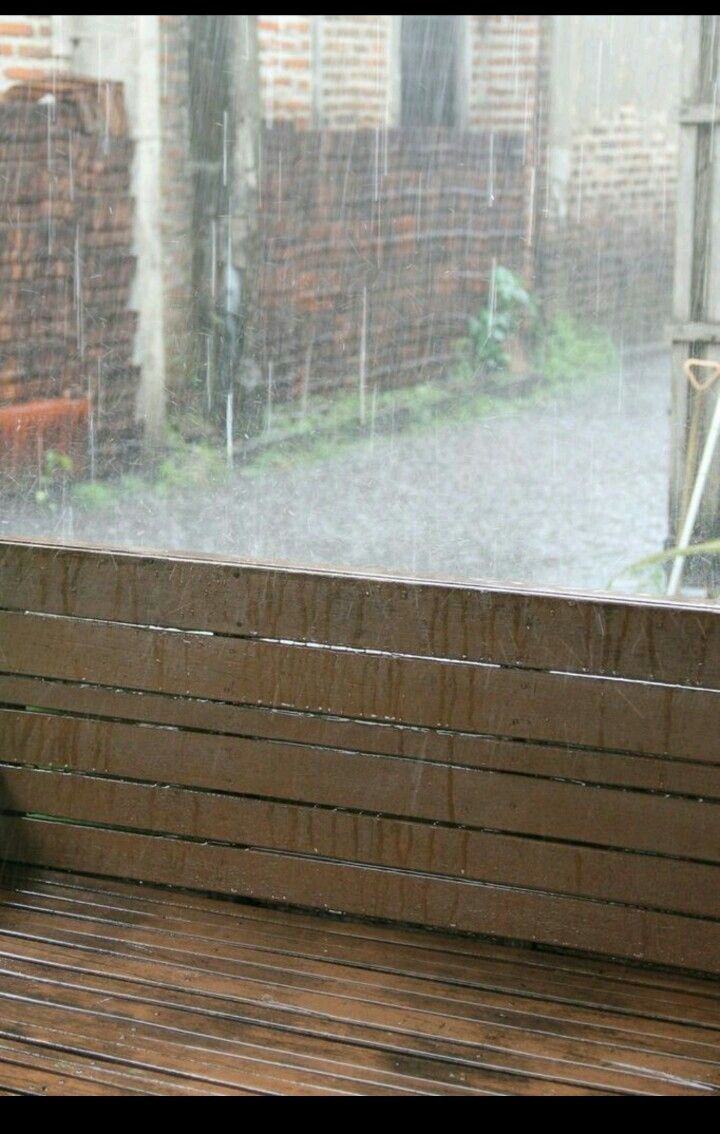 a cat sitting on top of a wooden bench next to a window covered in rain