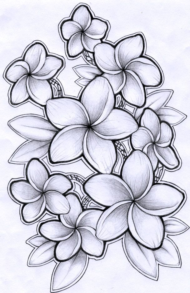 a drawing of some flowers in black and white