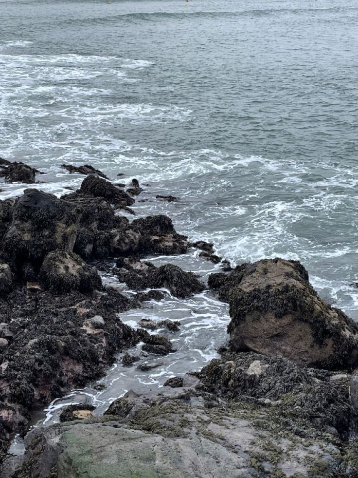 Gloomy and dark atmosphere, the photo is of a rocky shore with waves crashing against the rocks. Asoiaf Locations, Daylight Rings, Scottish Coast, Sea Hag, Devils Advocate, Rocky Island, Environment Photo, Nautical Aesthetic, Black Bird Tattoo