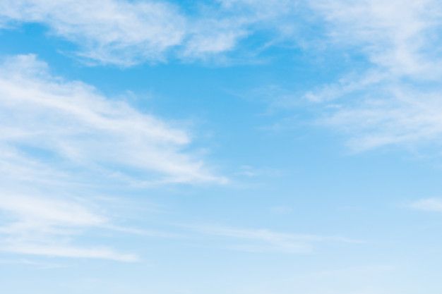 two people are standing on the beach with their surfboards in hand and one person is flying a kite