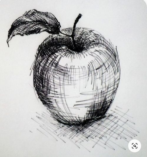 A drawing of an apple using hatching technique Hatch Art, Hatch Drawing, Observational Drawing, Cross Hatching, Arte Sketchbook, Pencil Art Drawings, Pen Art, Sketchbook Art Inspiration, Art Drawings Simple