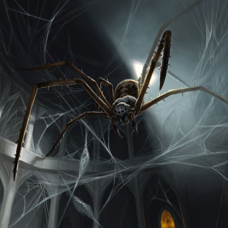 a large spider sitting on top of a web covered floor next to a yellow light