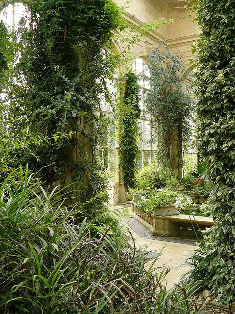 an indoor garden with lots of greenery