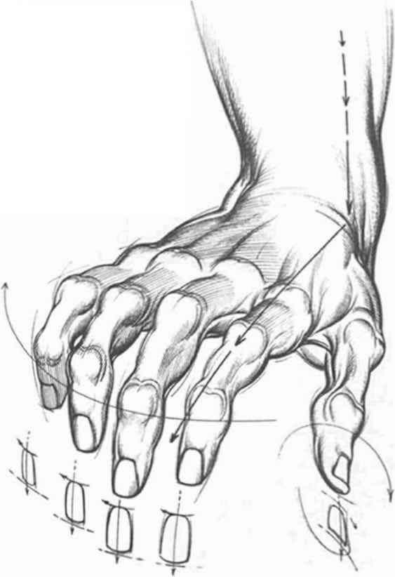 a drawing of a hand holding something in it's right hand and the other hand with