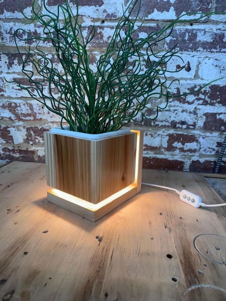 a plant in a wooden box with some lights on it